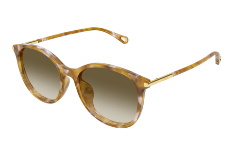 Occhiali da vista Chloé CH0397SK 003