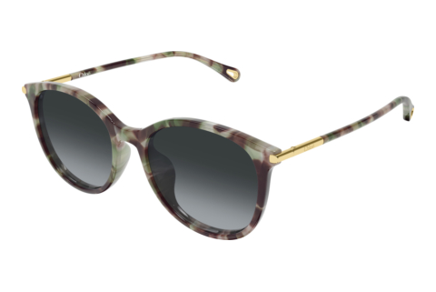 Occhiali da vista Chloé CH0397SK 004