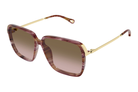 Occhiali da vista Chloé CH0405S 002