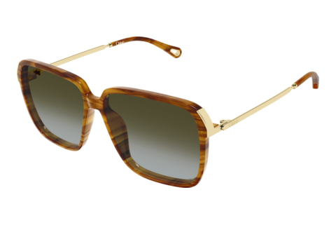 Occhiali da vista Chloé CH0405S 003