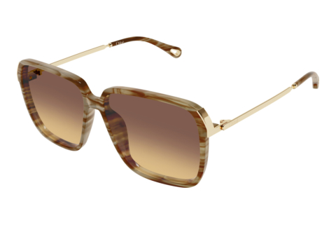 Occhiali da vista Chloé CH0405S 004