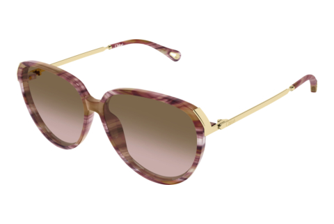 Occhiali da vista Chloé CH0406S 002