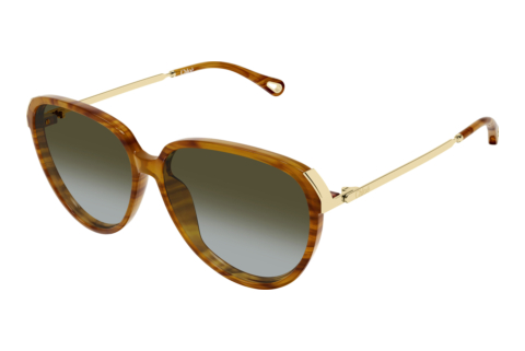 Occhiali da vista Chloé CH0406S 003
