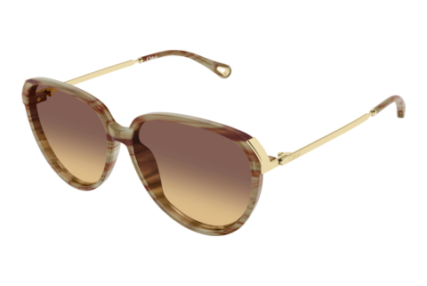 Occhiali da vista Chloé CH0406S 004
