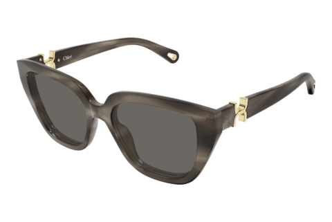 Occhiali da vista Chloé CH0410S 002