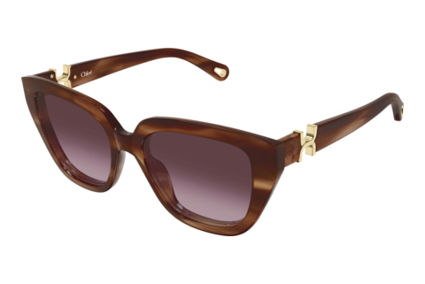 Occhiali da vista Chloé CH0410S 003
