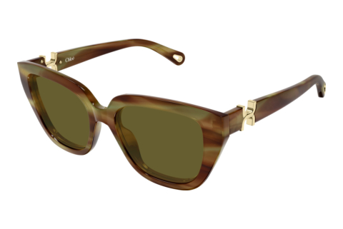 Occhiali da vista Chloé CH0410S 004