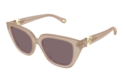 Occhiali da vista Chloé CH0410S 005