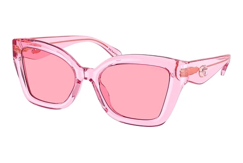 Occhiali da vista Coach CS544 (HC8405U 583084)