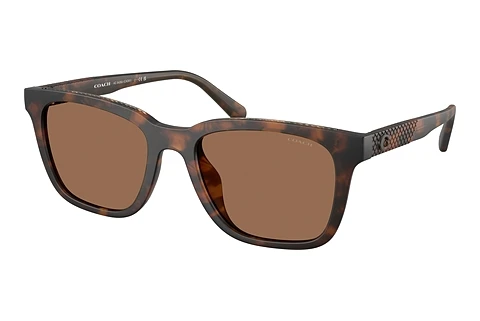 Occhiali da vista Coach CAD81 (HC8426U 512073)