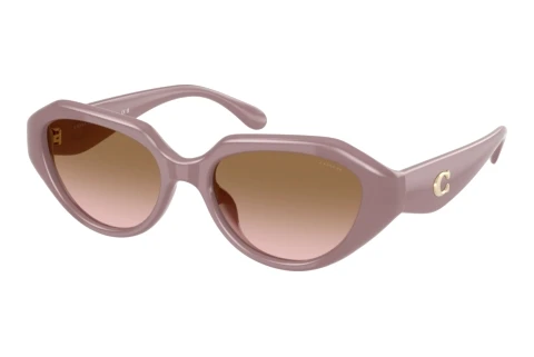 Occhiali da vista Coach CBY77 (HC8433U 549511)