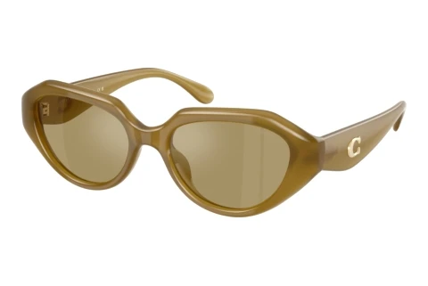 Occhiali da vista Coach CBY77 (HC8433U 590230)