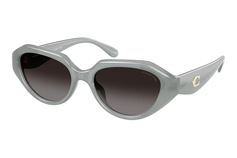 Occhiali da vista Coach CBY77 (HC8433U 5905T3)