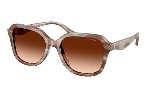 Occhiali da vista Coach CBY87 (HC8437U 590174)