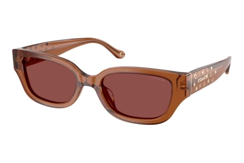 Occhiali da vista Coach CBZ52 (HC8439U 581175)