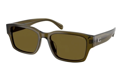 Occhiali da vista Coach CBY96 (HC8441U 591073)