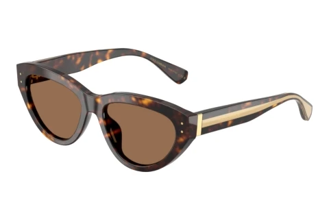 Occhiali da vista Dolce & Gabbana DG4558 502/73