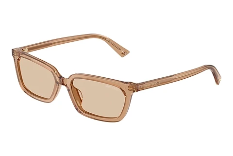 Occhiali da vista Jimmy Choo JC5050U 507693