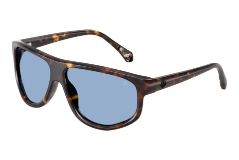 Occhiali da vista Moncler ICEBORNE (ME6033U 300280)