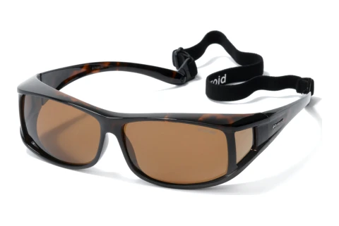 Occhiali da vista Polaroid P8901 0BM/HE