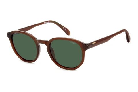 Occhiali da vista Polaroid PLD 4195/S QGL/UC