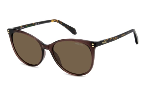 Occhiali da vista Polaroid PLD 4200/S/X 09Q/SP