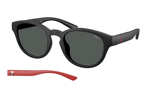 Occhiali da vista Polo PH4233U 550487
