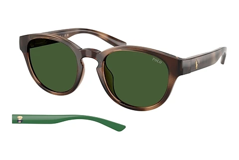 Occhiali da vista Polo PH4233U 607071