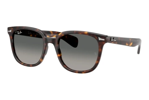 Occhiali da vista Ray-Ban BRUNEL II (RB2235 902/71)