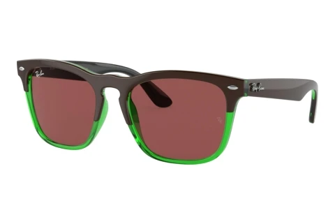 Occhiali da vista Ray-Ban STEVE (RB4487 663469)