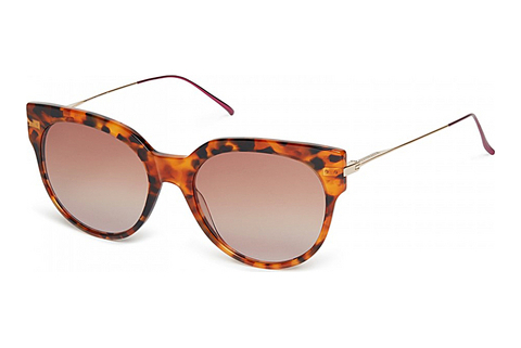 Occhiali da vista Scotch and Soda 507005 104