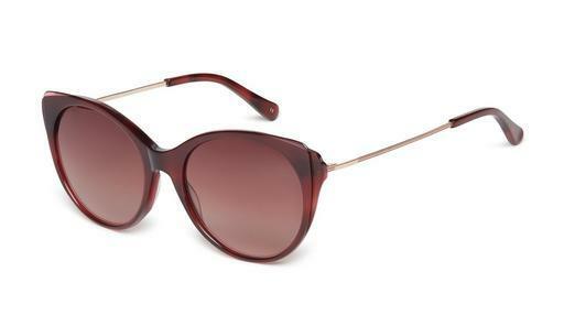 Occhiali da vista Ted Baker 1589 249