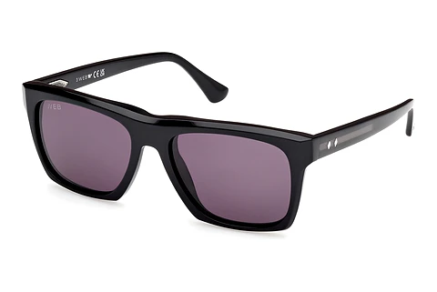 Occhiali da vista Web Eyewear WE0350 05A