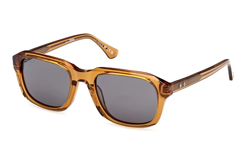 Occhiali da vista Web Eyewear WE0389 39A
