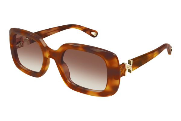 Occhiali da vista Chloé CH0333S 003