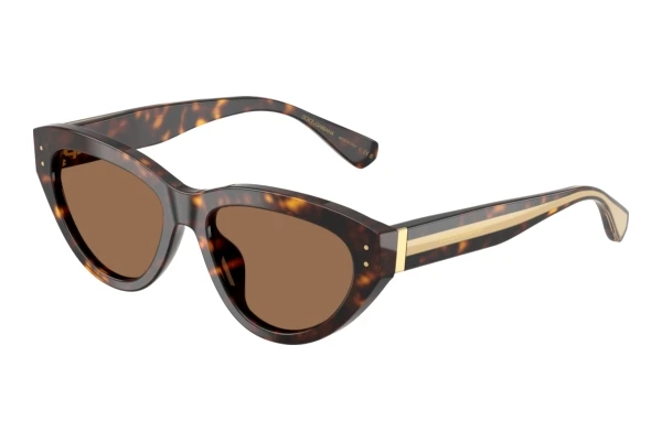 Occhiali da vista Dolce & Gabbana DG4558 502/73
